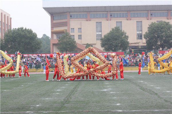 71be64e4575d4d3e98756ad35f46e4a5.jpg IMG_1008.jpg